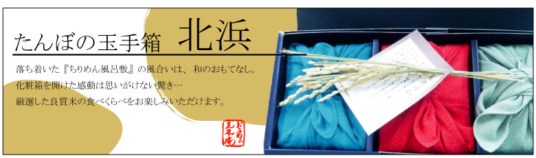����ڂ̋ʎ蔠�w�k�l�x