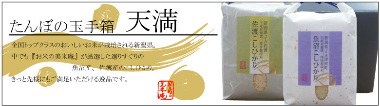 ����ڂ̋ʎ蔠�w�V���x
