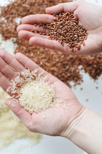 世界中のお米の種類